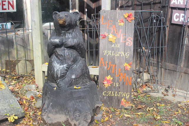 The bear welcomed us into the little shoppe.)  Gatlinburg, Tennessee ~~ USA