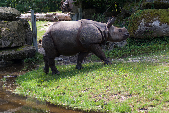 Tierpark Hellabrunn