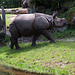 Tierpark Hellabrunn