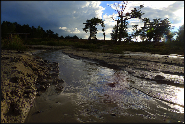 After the Flood storm