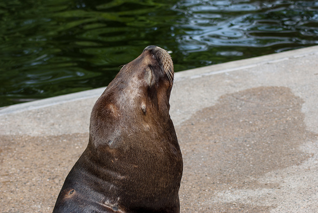 Tierpark Hellabrunn