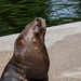 Tierpark Hellabrunn