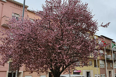 Amadora, Portugal