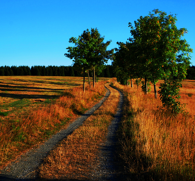 Natur Benneckenstein