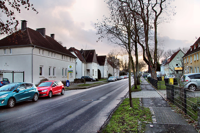 Nienkampstraße (Siedlung Scholven, Gelsenkirchen-Scholven) / 24.12.2022