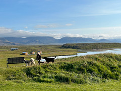 Morning in Helgafell.