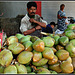 Tender coconuts
