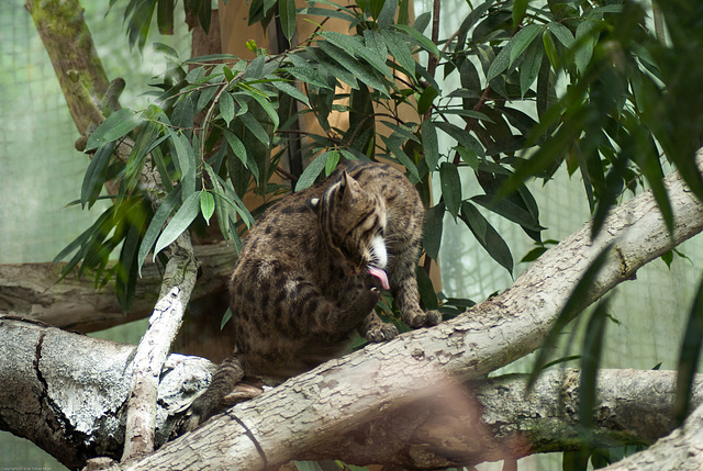 Tierpark Hellabrunn