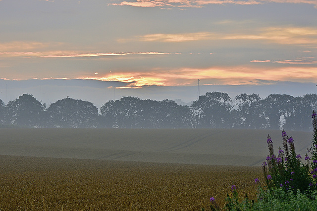 Mist at Dawn