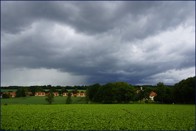 Staatsdomäne Beberbeck