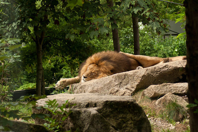 Tierpark Hellabrunn