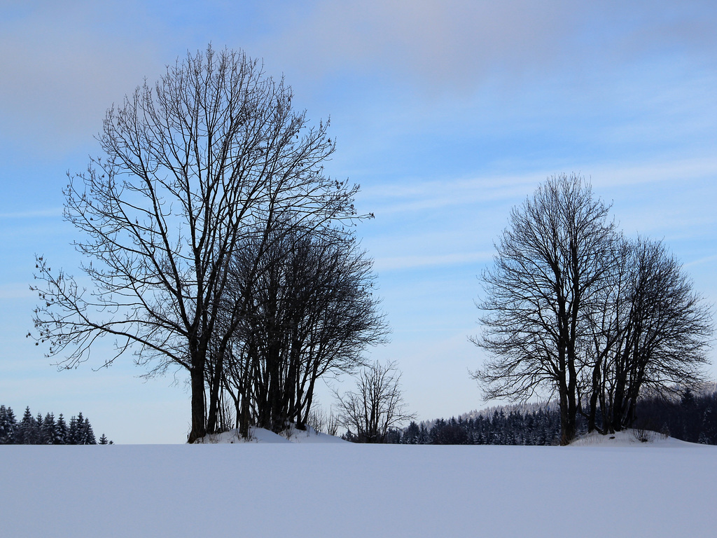 En ski de fond, Les Fourgs (Doubs)