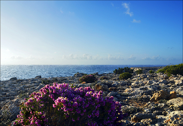 Menorca