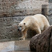 Tierpark Hellabrunn