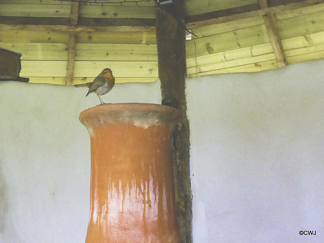 Waiting for lunch - inside, if you don't mind, as it's raining!