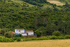 Mata Pequena, Portugal