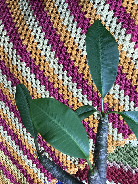 leaves, patterns