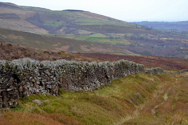 Bray Clough