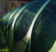 Poly Tunnel.Byker City Farm