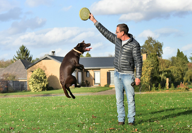 Lance ce frisbee correctement pour que je puisse l'atteindre !!!