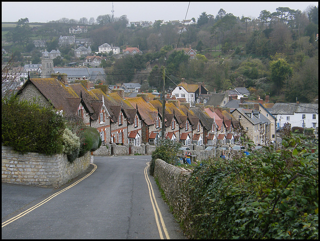 Common Lane, Beer