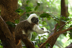 Tierpark Hellabrunn