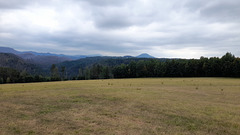 schöna niedergrund 053 schöna niedergrund 053