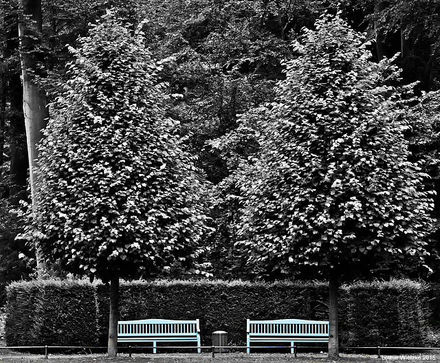 Schloss Benrath - Bänke im Jagdstern des Parks...