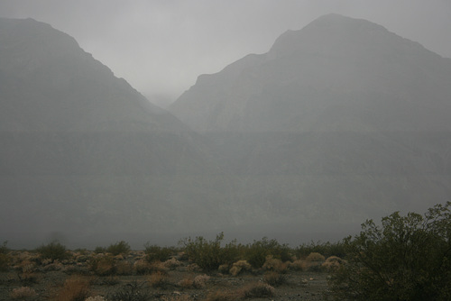 IMG 9997