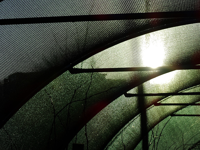 Poly Tunnel.Byker City Farm