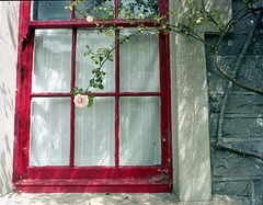 Stables Westport House