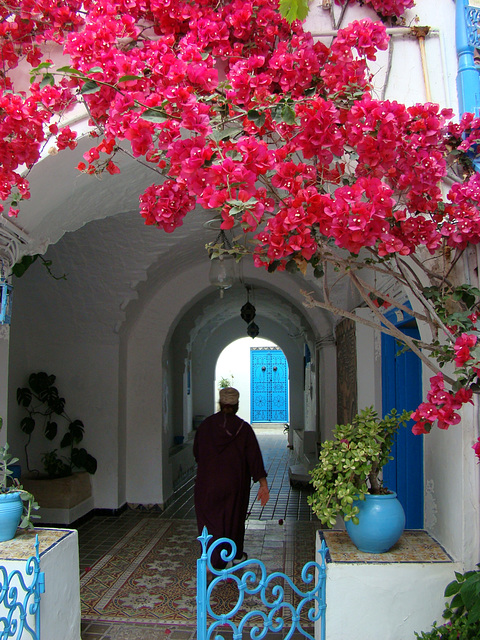 Sidi Bou Said Bougainvillea