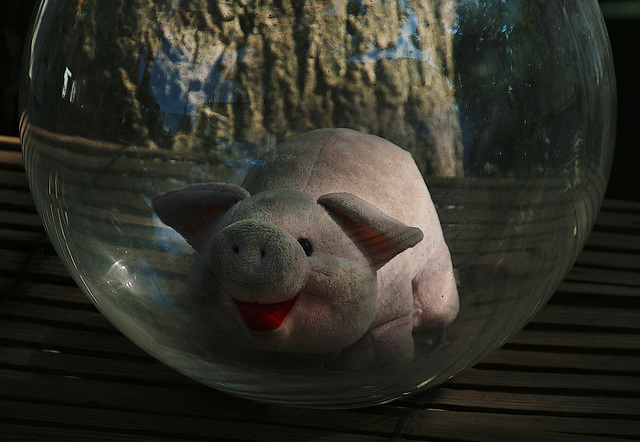 Miss Piggy dans sa bulle de bonne humeur