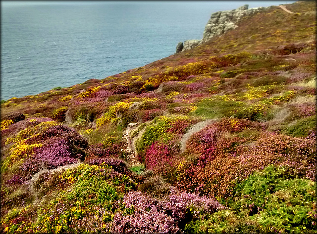 St Agnes' Head