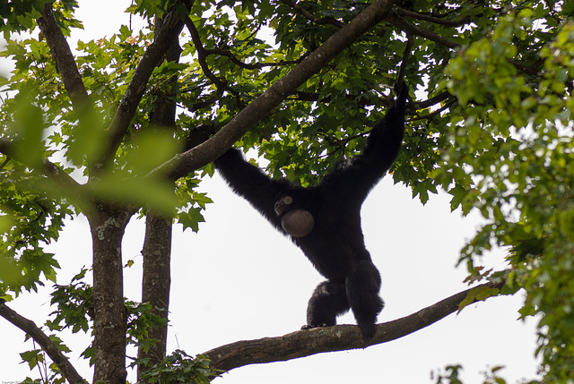 Tierpark Hellabrunn