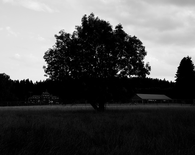 Wald, Harzhaus, Familie, Benneckenstein