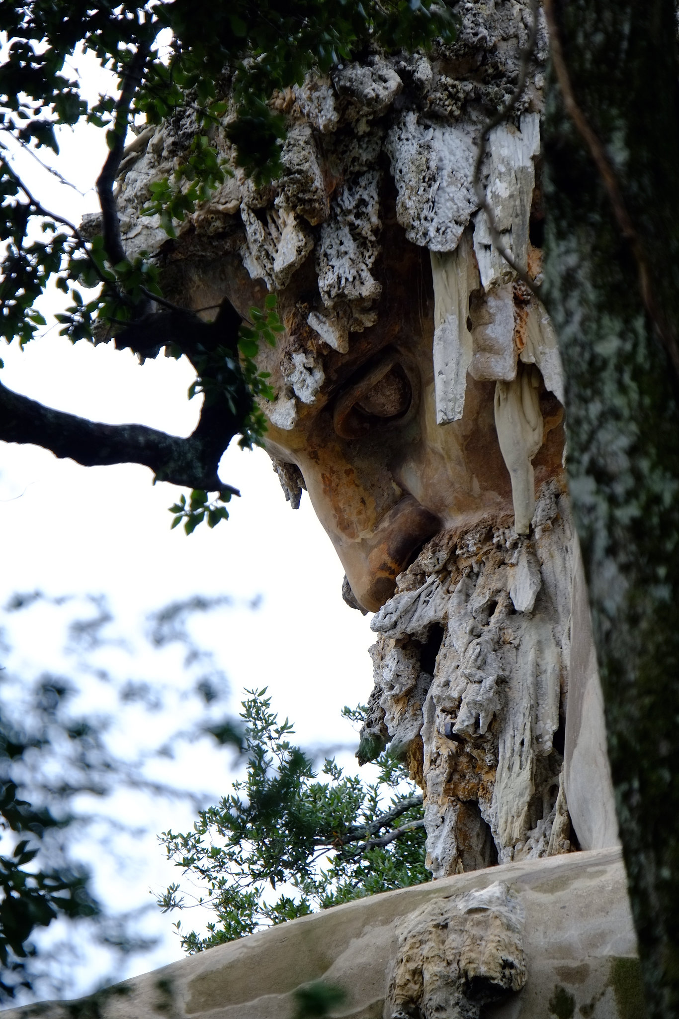 Tuscany 2015 Parco Mediceo di Pratolino 19 Collosso dell Appennino  XPro1