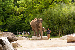 Tierpark Hellabrunn