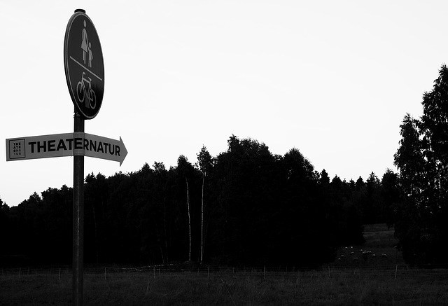 Wald, Benneckenstein