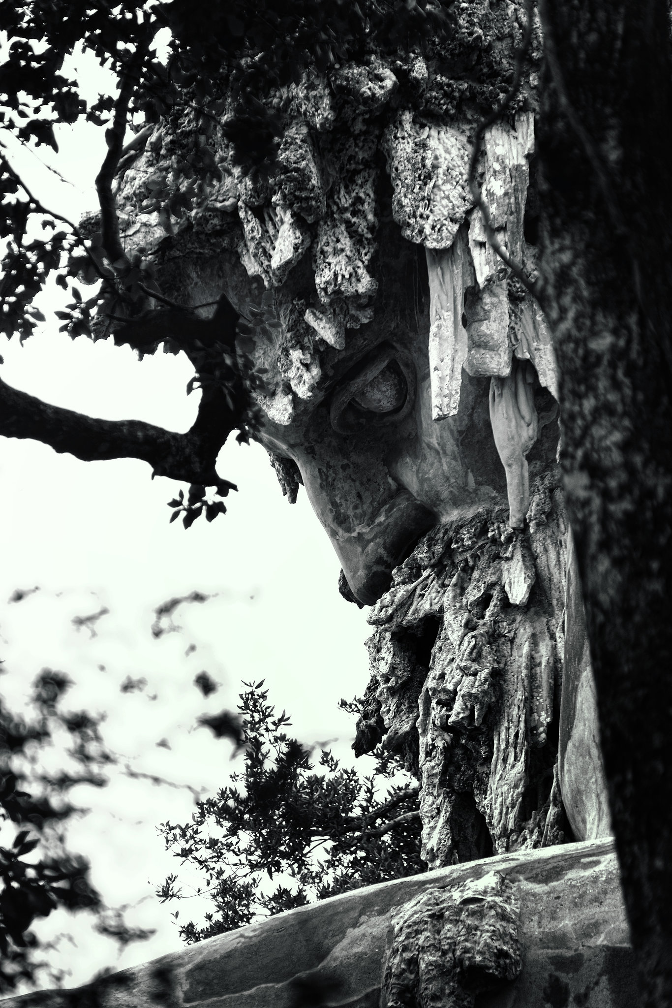 Tuscany 2015 Parco Mediceo di Pratolino 19 Collosso dell Appennino XPro1 mono