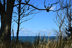 Aussicht oberhalb der Steilküste (© Buelipix)