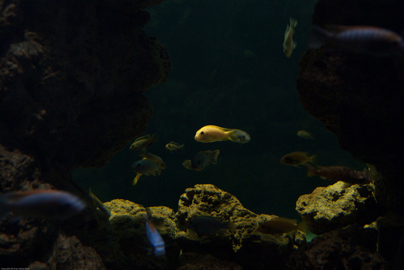 Tierpark Hellabrunn