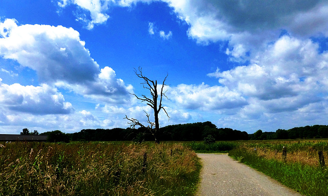 DE - Schwalmtal - Zwei-Seen-Runde