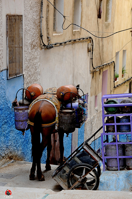 Et moi je viens pour le gaz….