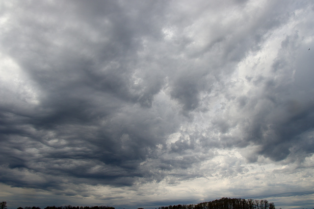 Himmel 46/50 : Abendflieger