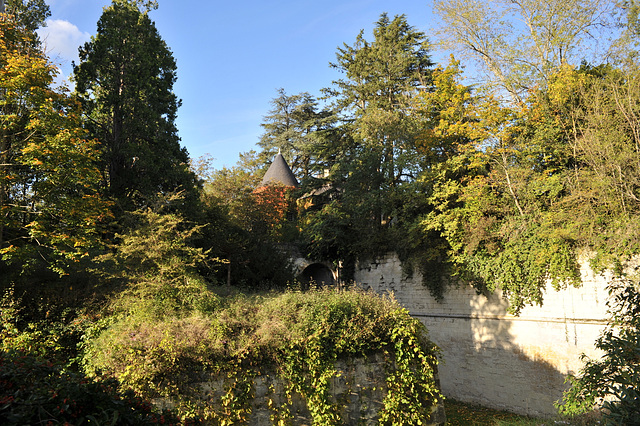 Les douves du Château de Cinq-Mars-la-Pile