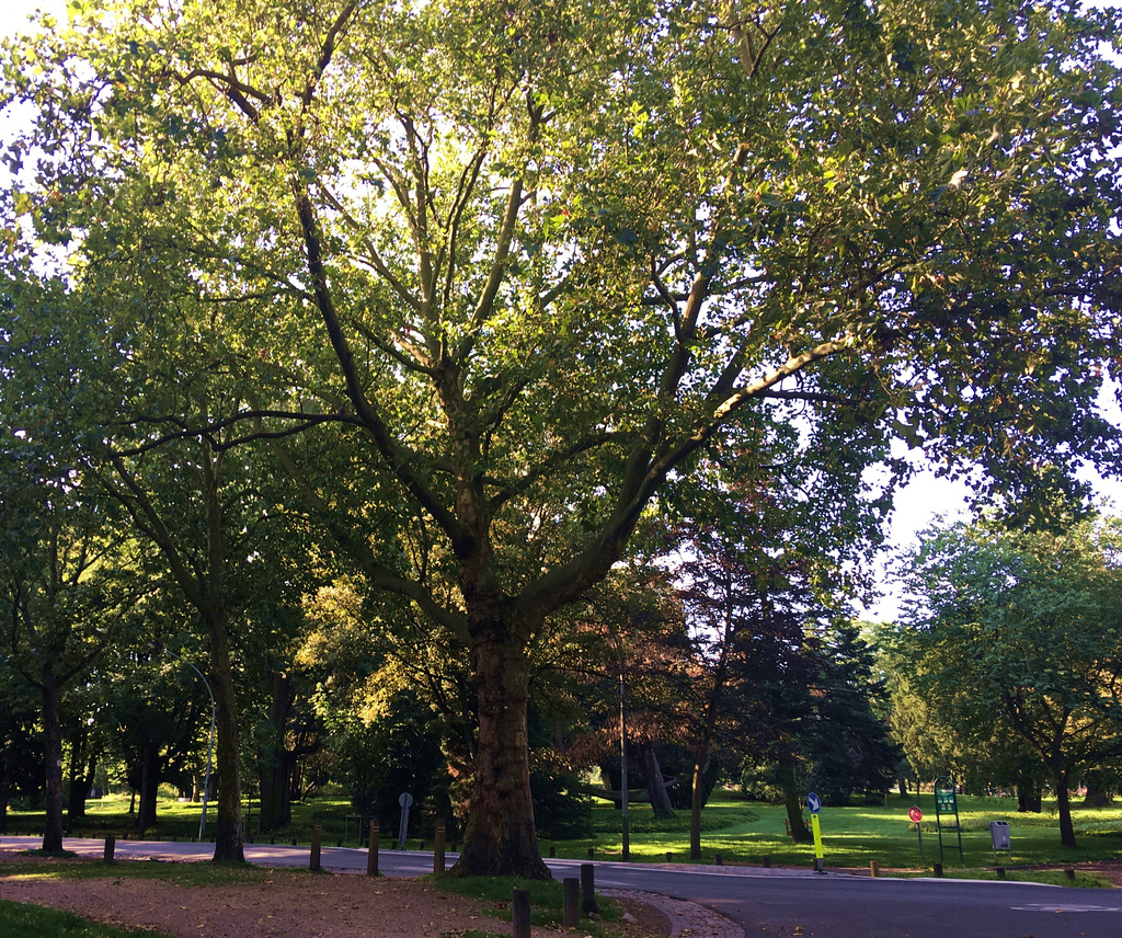 Parc de Cointe