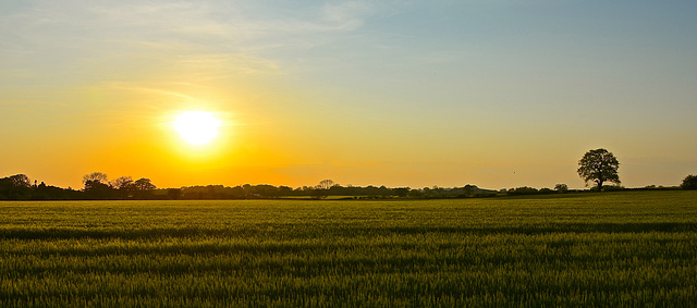 Gnosall sunset