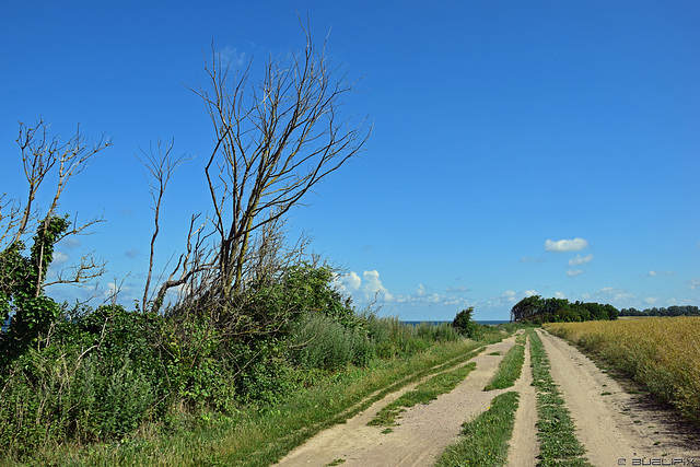 Spazierweg entlang der Steilküste (© Buelipix)