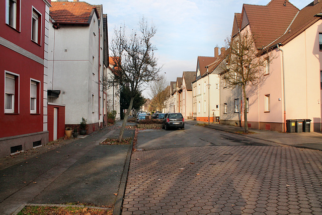 Schwerinstraße (Bochum-Hiltrop) / 10.12.2016